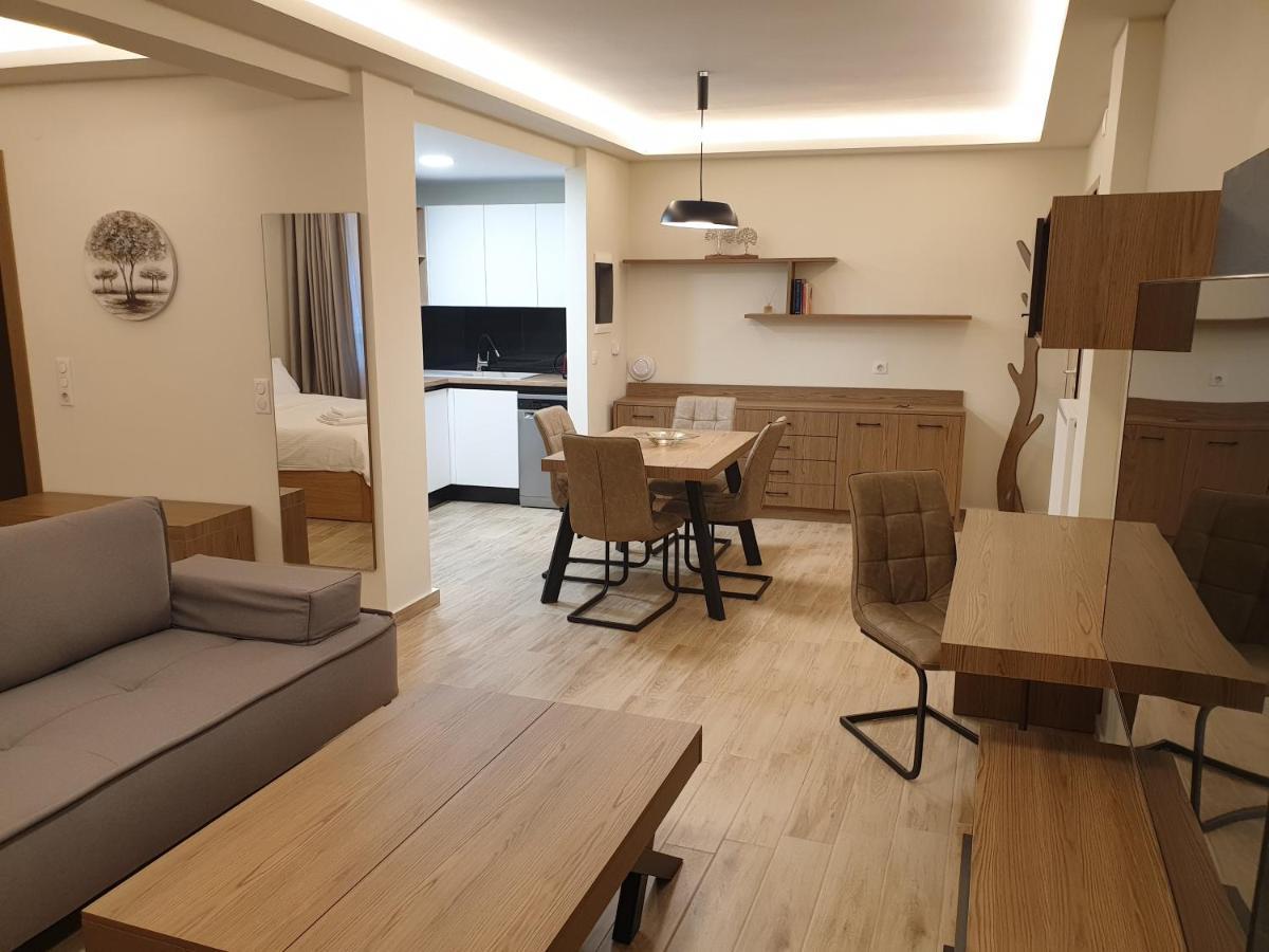 Olive Deluxe Apartment Karditsa Exterior photo