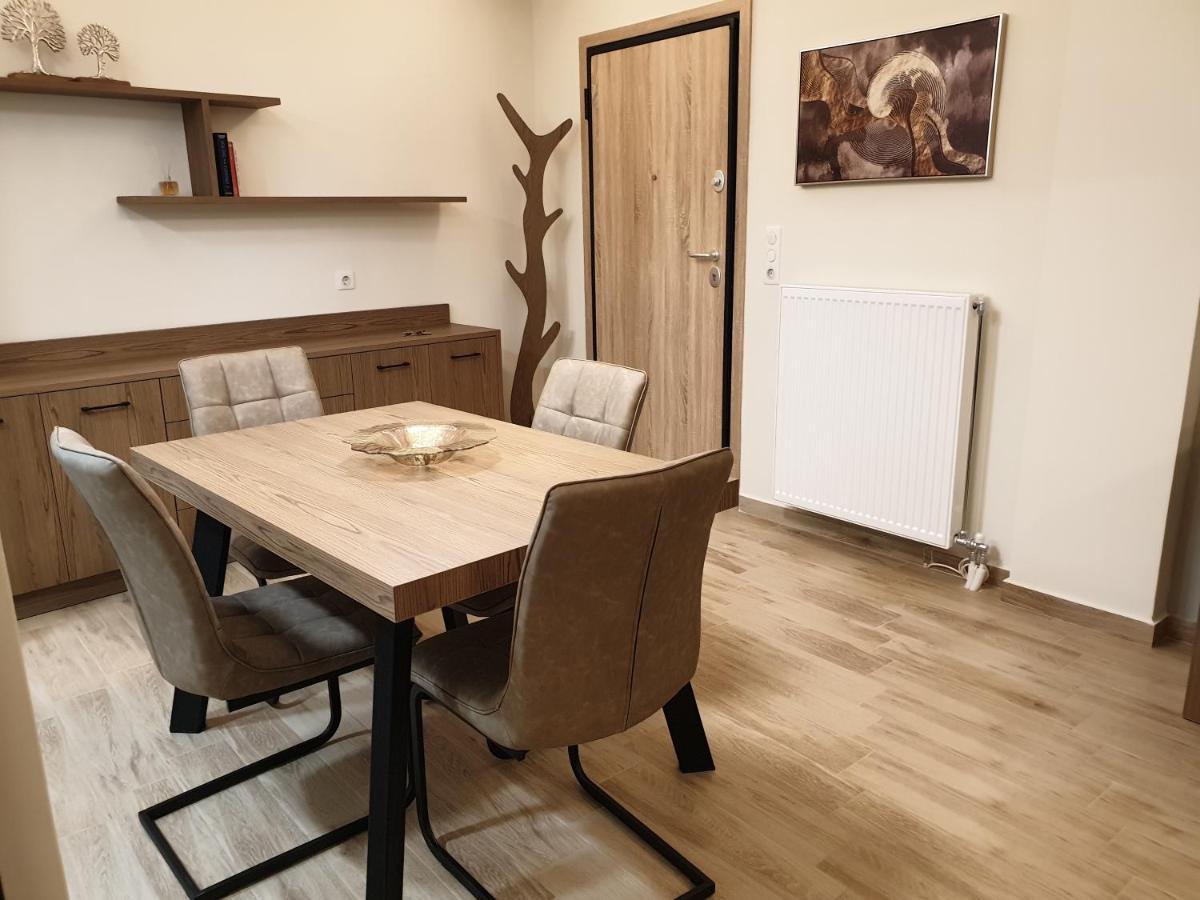 Olive Deluxe Apartment Karditsa Exterior photo